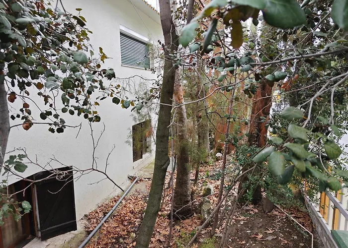 Сasa de vacaciones Kalidoniahouses Pera Pedi